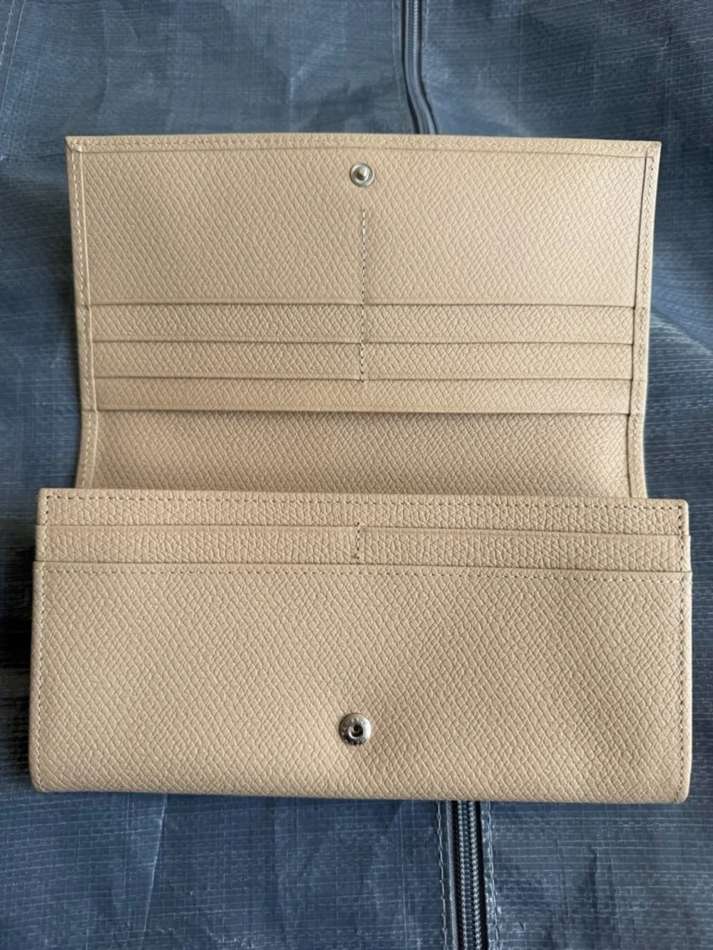 Longchamp le roseau